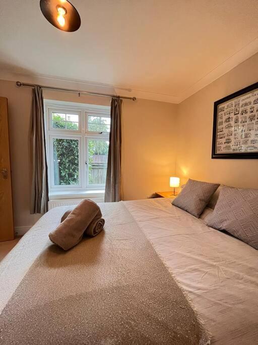 Space And Comfort In Summertown Oxford Bagian luar foto
